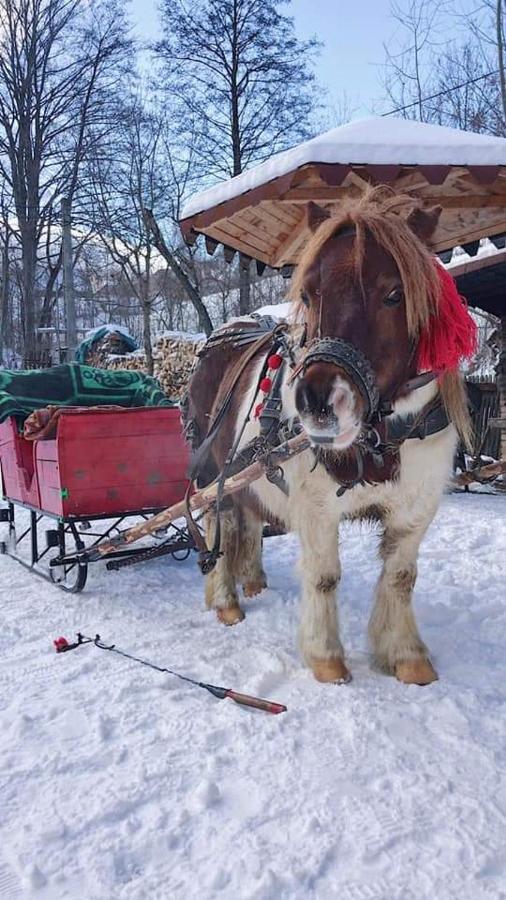 Casa Calea Haiducilor Sohodol  Zewnętrze zdjęcie
