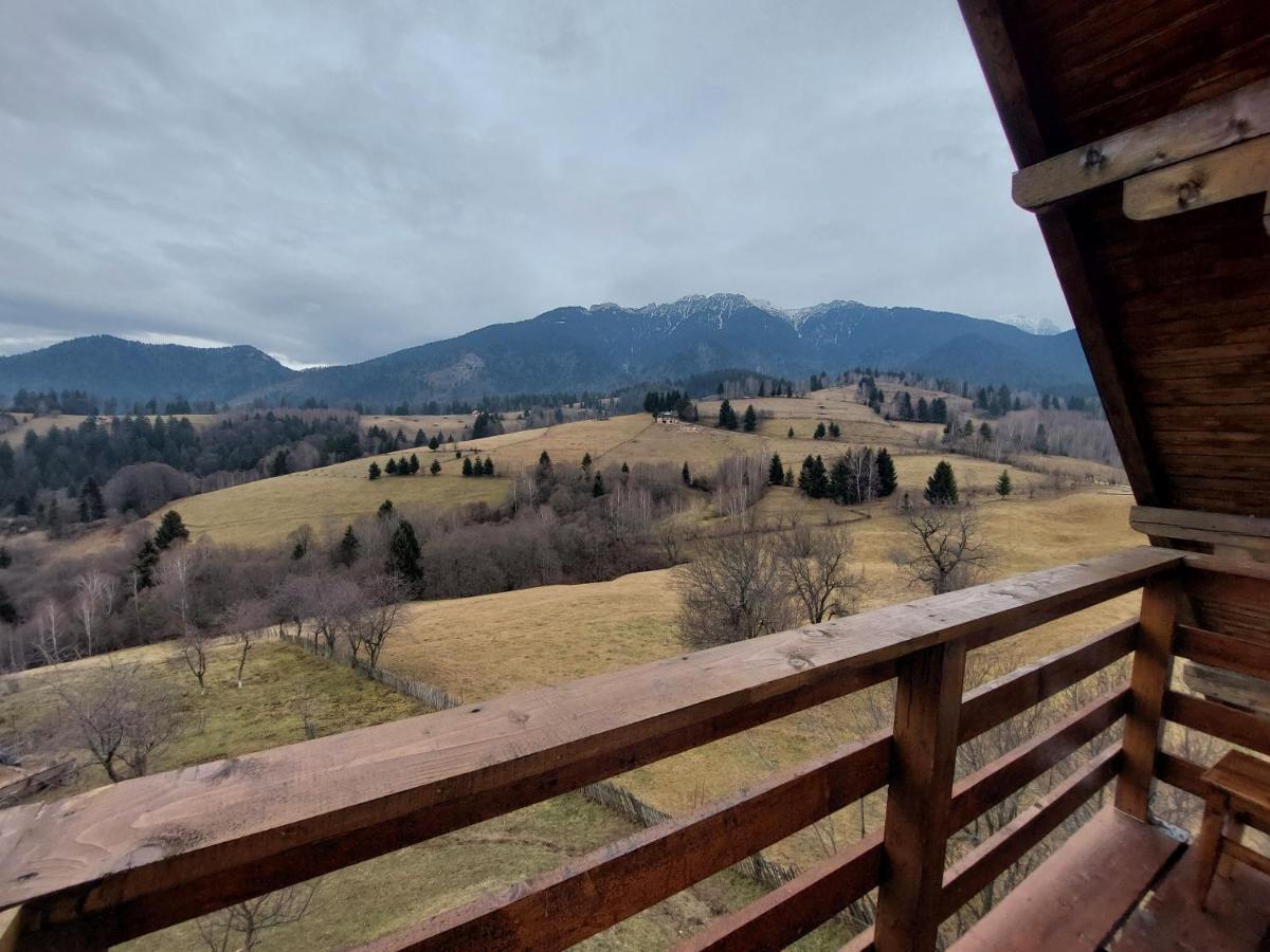 Casa Calea Haiducilor Sohodol  Zewnętrze zdjęcie