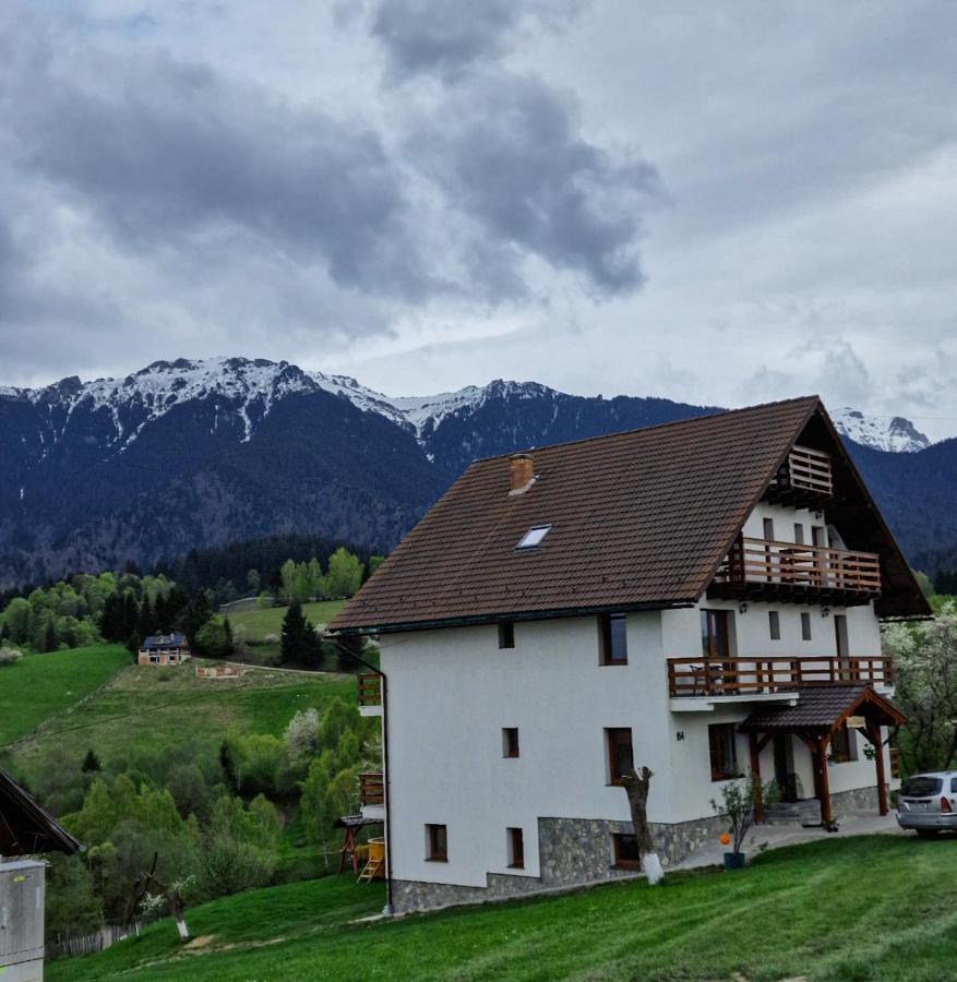 Casa Calea Haiducilor Sohodol  Zewnętrze zdjęcie